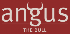 Angus the Bull